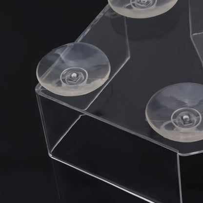 Le Cinéma Privé "Bird-Watch" – Mangeoire de Fenêtre Transparente