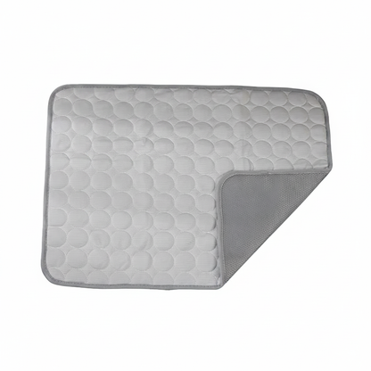 Tapis Gris — Vue produit